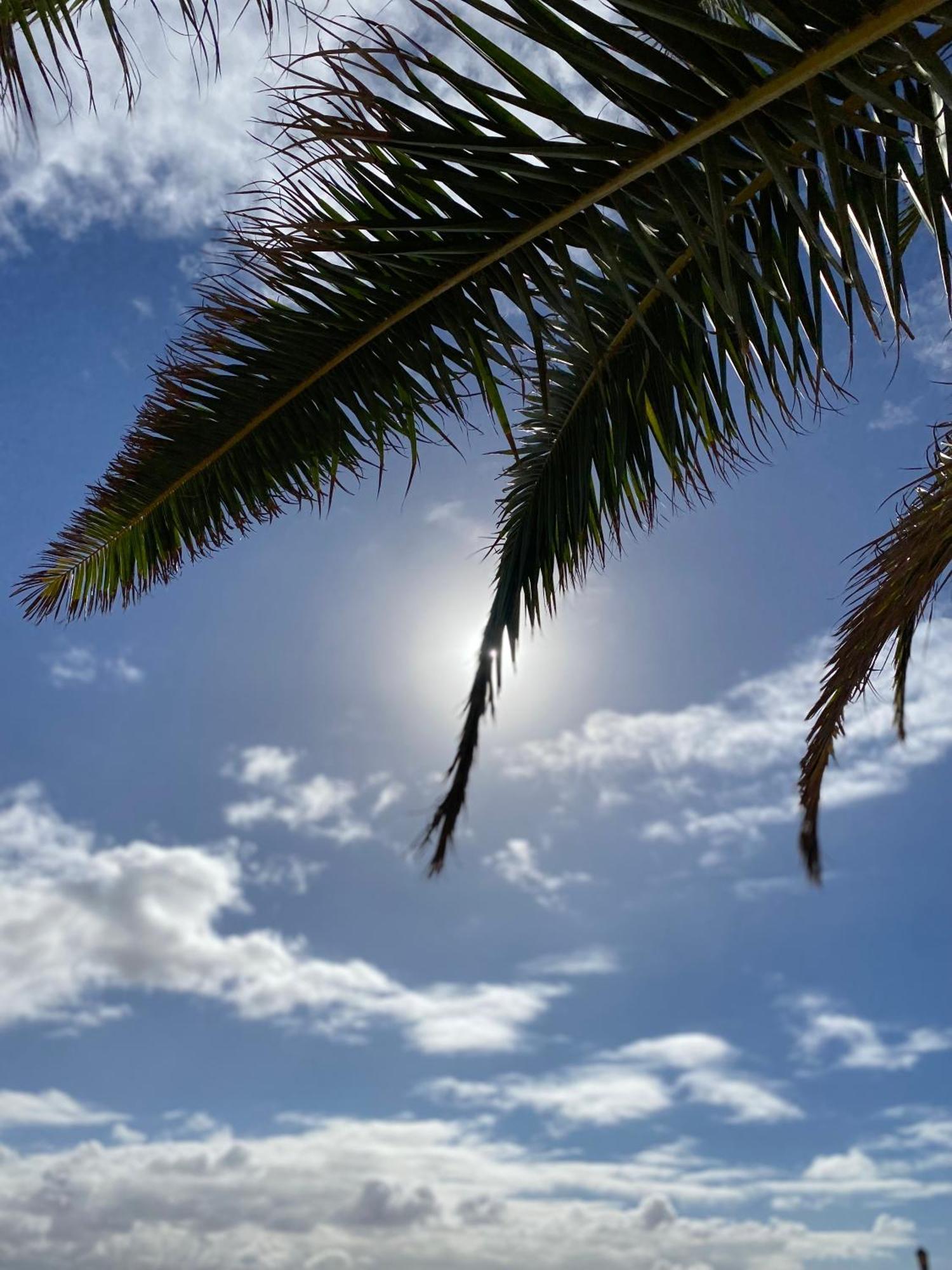 Apartamento El Rincon Del Cangrejo