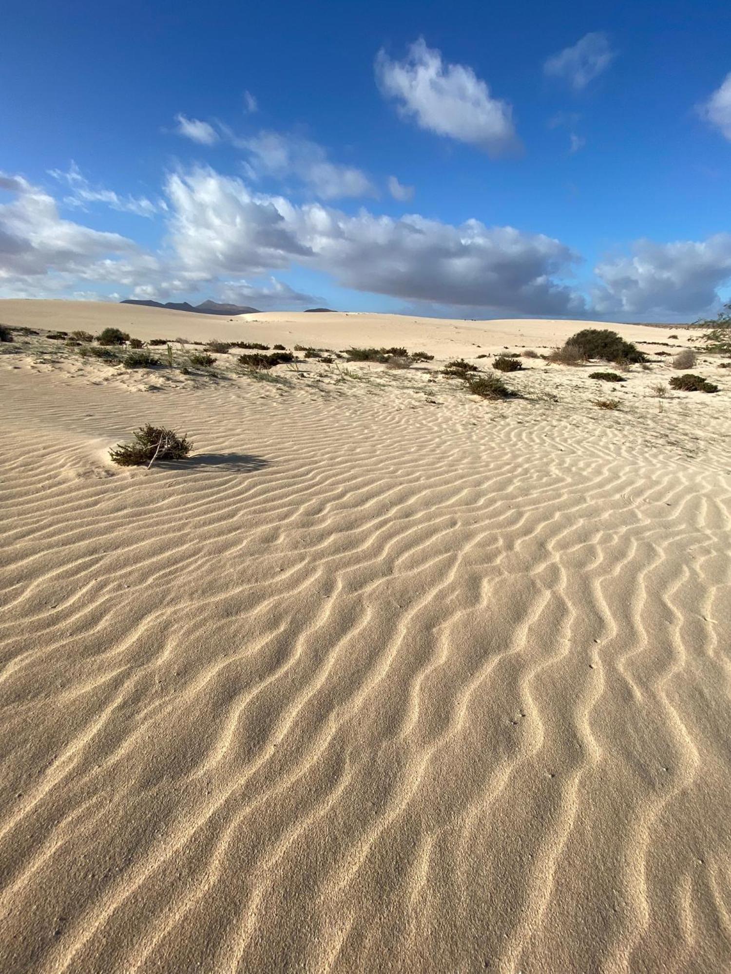 El Rincon Del Cangrejo Apartamento Corralejo